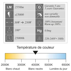 Lot de 4 projecteurs LED 30W/IP65/IK10/2700lm/4000K connexion directe - sans câble - garantie 5 ans