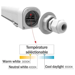 Lot de 12 réglettes LED étanche IP65 50W 6000lm - 3CCT - traversant - garantie 3 ans