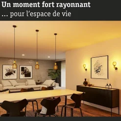 Luminaire en suspension Ravi IP44 E27 max. 60W Noir mat Doré gradable