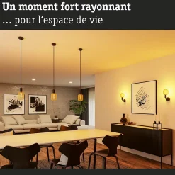 Luminaire en suspension Ravi IP44 E27 max. 60W Noir mat gradable