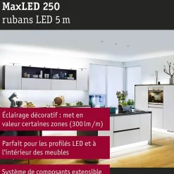 MaxLED 250 Strip LED Extension 5m 6500K 19W 300lm/m 6500K