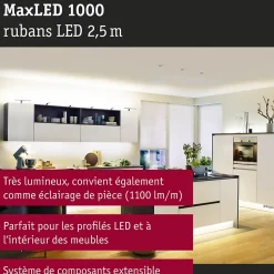 MaxLED 1000 Strip LED Extension 2,5m Blanc chaud 29W 1100lm/m 2700K