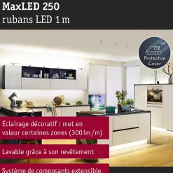 MaxLED 250 Strip LED Extension 1m 2700K revêtue 4W 300lm/m 2700K