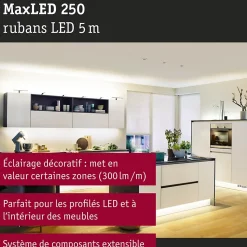 MaxLED 250 Strip LED Extension 5m 2700K 19W 300lm/m 2700K