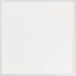 MILTON plafonnier blanc LED intégrée 24W plastique ampoule incluse