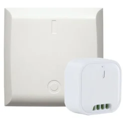 Module d'éclairage interrupteur sans fil 1000W - DiO