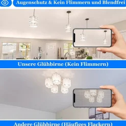 NETTLIFE Ampoules LED 6 pièces ampoule E27 4W 2700K A60 ampoules Edison vintage