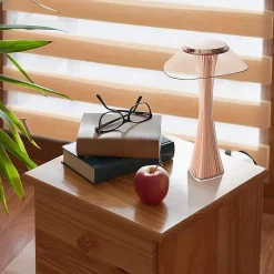 NETTLIFE Lampe de table LED tactile dimmable avec batterie lampe de chevet diurne avec USB
