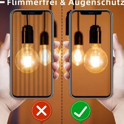 NETTLIFE Lot de 2 ampoules LED E27 vintage ampoules rétro G80 Edison à filament blanc chaud 2700K 4W économie d'énergie
