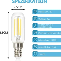 NETTLIFE Lot de 4 ampoules LED E14 blanc froid vintage : ampoules T25 4 W 6000 K à économie d'énergie