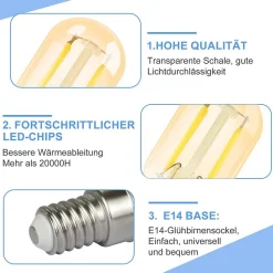 NETTLIFE pack de 2 E14 LED blanc froid T22 vintage LED 2W rétro 6000K lampe à économie d'énergie E14 non dimmable