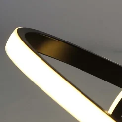 NETTLIFE Plafonnier LED Blanc Chaud - 19 W Lampe Noire Lampe de Moderne Petite 3000 K pour Chambre d'enfant Salon Chambre Couloir