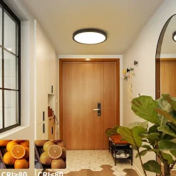 NETTLIFE Plafonnier LED Blanc Froid 15 W Noir Diamètre 22 cm Rond Plat IP44 Lampe Étanche Lampe de Couloir pour Salle de Bain