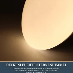 NETTLIFE Plafonnier LED ciel étoilé blanc chambre plafonnier 12W éclairage de plafond rond