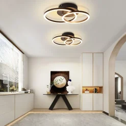 NETTLIFE Plafonnier LED Lampe de plafond 24W Design moderne rond blanc chaud 3000K noir 2 anneaux