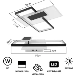 NETTLIFE Plafonnier LED lampe de salon à intensité variable 62 W avec 2 spots de plafond, noir, avec télécommande, acrylique
