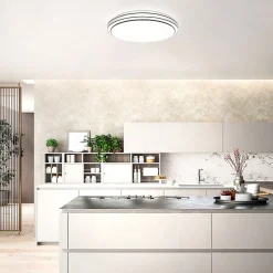 NETTLIFE Plafonnier LED Moderne Rond 27cm Ciel Étoilé Intensité Variable avec Télécommande Lampe de 23W pour Cuisine Couloir