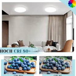 NETTLIFE Plafonnier LED plat 18 cm - 15 W, Blanc, 6000 K - Éclairage moderne cuisine, couloir, chambre