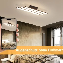 NETTLIFE Plafonnier salon chambre moderne lampe noir 18W design intérieur 3000K blanc chaud