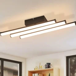 NETTLIFE Plafonnier salon chambre moderne lampe noir 18W design intérieur 3000K blanc chaud