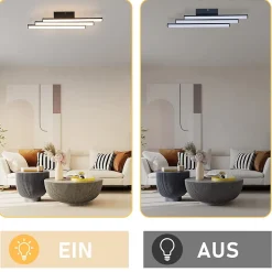 NETTLIFE Plafonnier salon chambre moderne lampe noir 18W design intérieur 3000K blanc chaud