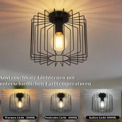 NETTLIFE Plafonnier Vintage E27 Lustre Cage Noire 27CM Lampe de Couloir Rétro en Métal