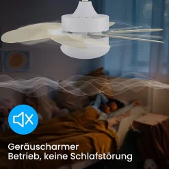 NETTLIFE Ventilateur de plafond avec lumière, télécommande, silencieux, avec minuterie, 6 pales, pour chambre à coucher