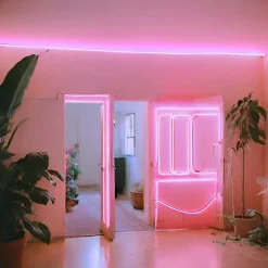 Néon Flexible LED 220V 50M Dimmable 120LED/m Rose - SILAMP