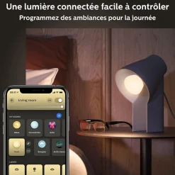 Pack 3 ampoules connecté Philips Hue E27 A60 800lm blanc chaud à froid