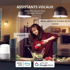 Pack 2 ampoules connectées led e27 14w - wifi - rgbw