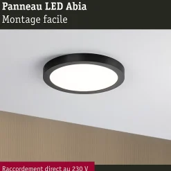 Panneau LED Abia rond 300mm 3x22W 3x2200lm 2700K Noir mat