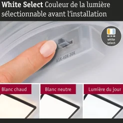 Panneau LED Atria Shine White Select IP44 carré 298x298mm 15,7W 2100lm 3000 - 6500K Noir