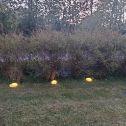 Pierre LED Lea XS blanche 7 cm