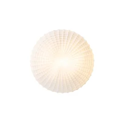 Plafonnier classique noir avec verre opale 30 cm IP44 - Nohmi