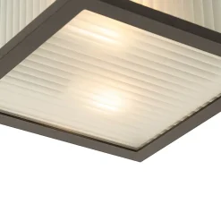 Plafonnier d'extérieur intelligent noir avec verre nervuré, Wi-Fi A60 inclus - Charlois