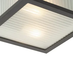 Plafonnier d'extérieur noir avec verre nervuré 2 lumières IP44 - Charlois