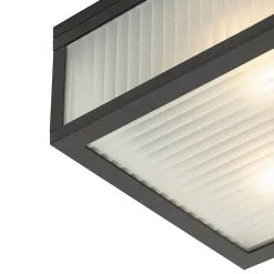Plafonnier d'extérieur noir avec verre nervuré 2 lumières IP44 - Charlois