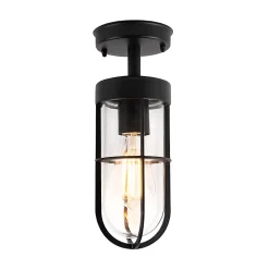 Plafonnier d'extérieur rustique noir avec verre IP44 - Elza