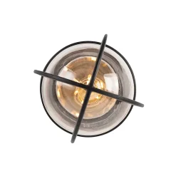 Plafonnier d'extérieur rustique noir avec verre IP44 - Elza