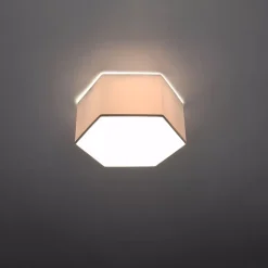 Plafonnier en PVC 2 lampes 30.5x26.5x13.5cm Sollux