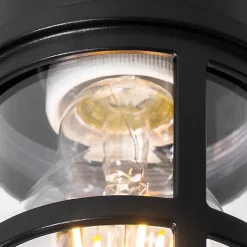 Plafonnier et applique murale noir avec abat-jour transparent IP54 - Kiki