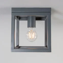 Plafonnier industriel gris foncé - Cage