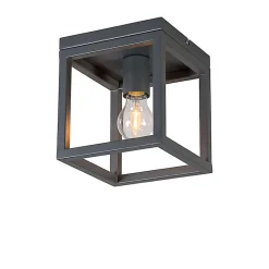 Plafonnier industriel gris foncé - Cage
