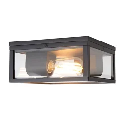 Plafonnier industriel noir IP44 2 lumières - Charlois