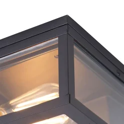 Plafonnier industriel noir IP44 2 lumières - Charlois