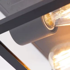 Plafonnier industriel noir IP44 2 lumières - Charlois