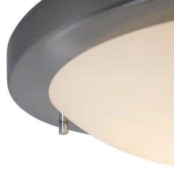 Plafonnier intelligent en acier 31 cm avec WiFi A60 IP44 - Yuma