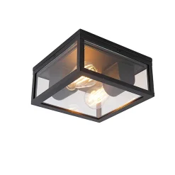 Plafonnier intelligent noir IP44 2 lumières avec Wifi ST64 - Charlois