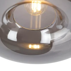 Plafonnier intelligent noir avec verre fumé, WiFi inclus - Busa