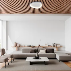 Plafonnier LED ARGESA 42x7cm metal plastique blanc moderne dimmable CCT veilleuse minuterie telecommande effet cristal